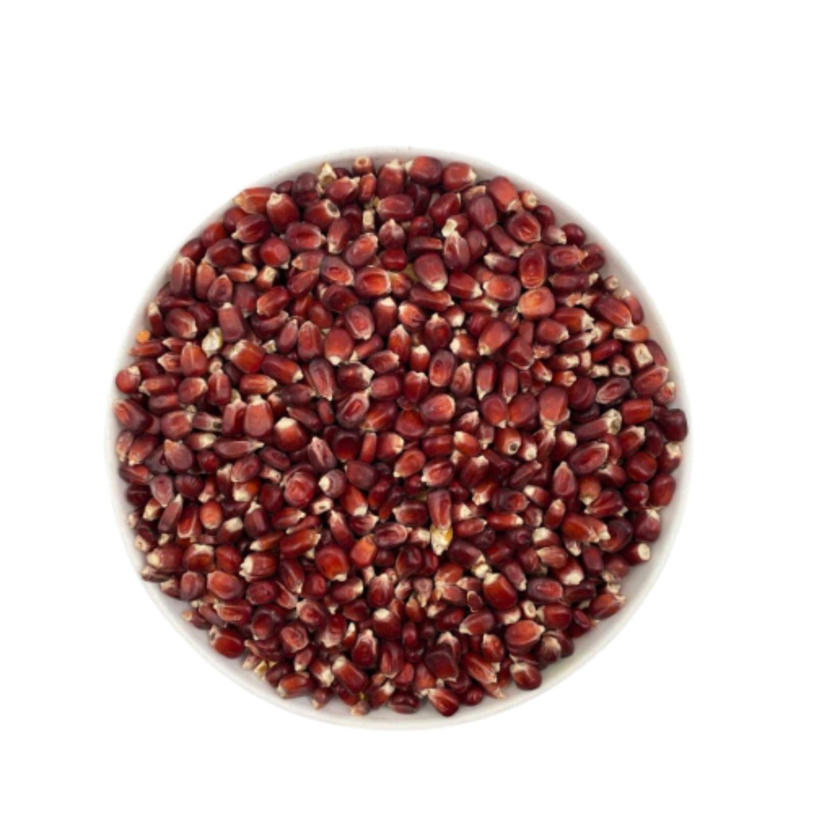 Close-up of a white bowl filled with dark red corn kernels on a white background