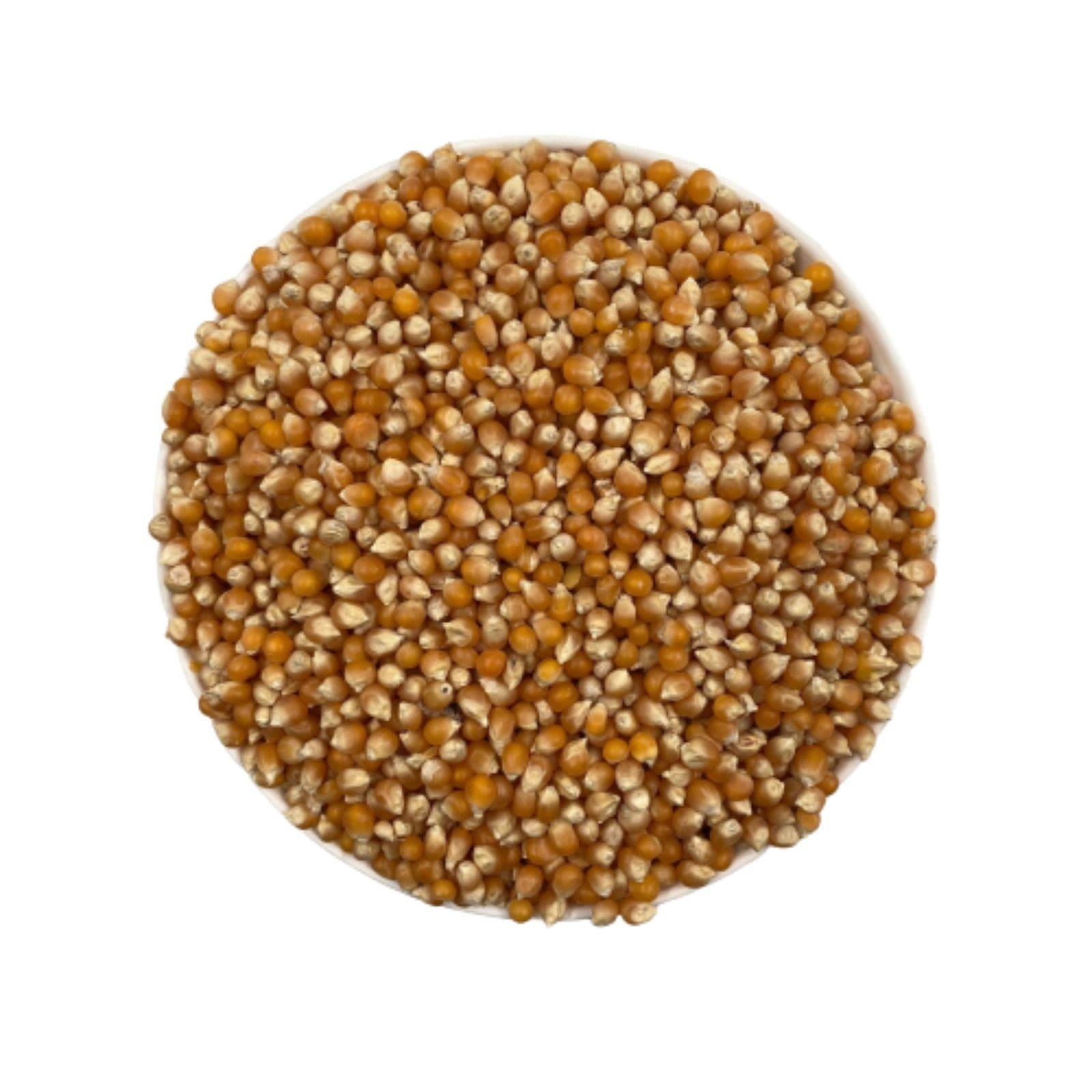 Porumb popcorn 1 kg - DalisPet