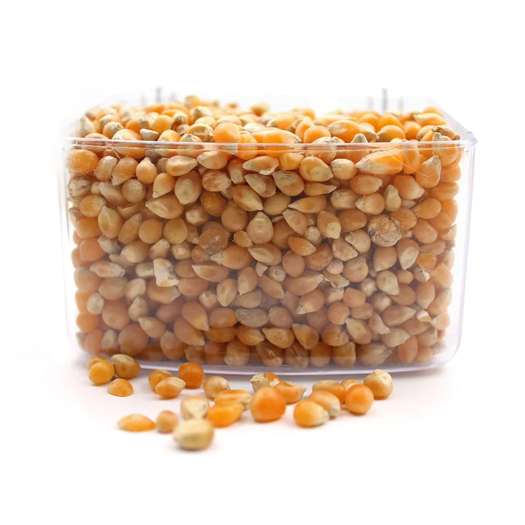 Close-up of yellow popcorn kernels in a clear plastic container with some kernels spilled on white surface