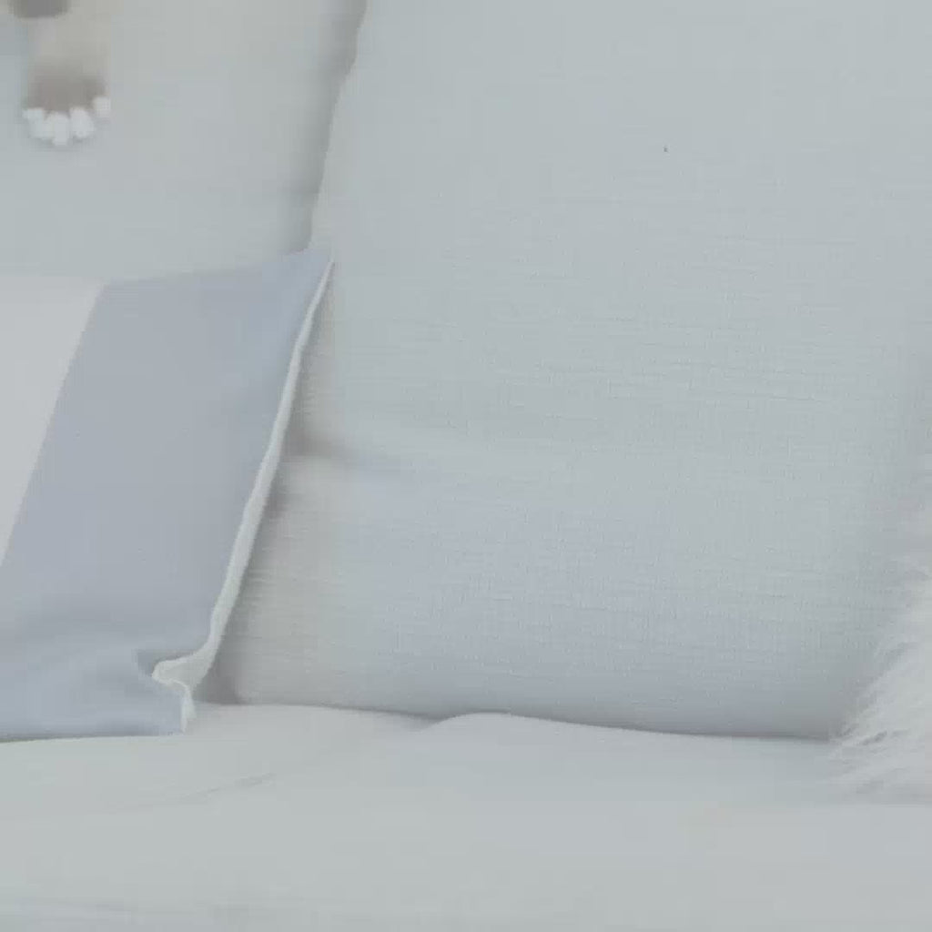 Royal Canin Kitten hrana umeda pisica junior (in sos)