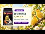 Hrană pentru stimularea cântatului la canari Galian 20 kg