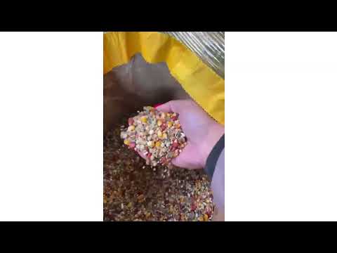 Hrana pentru porumbei Transilvanica Concurs DalisPet