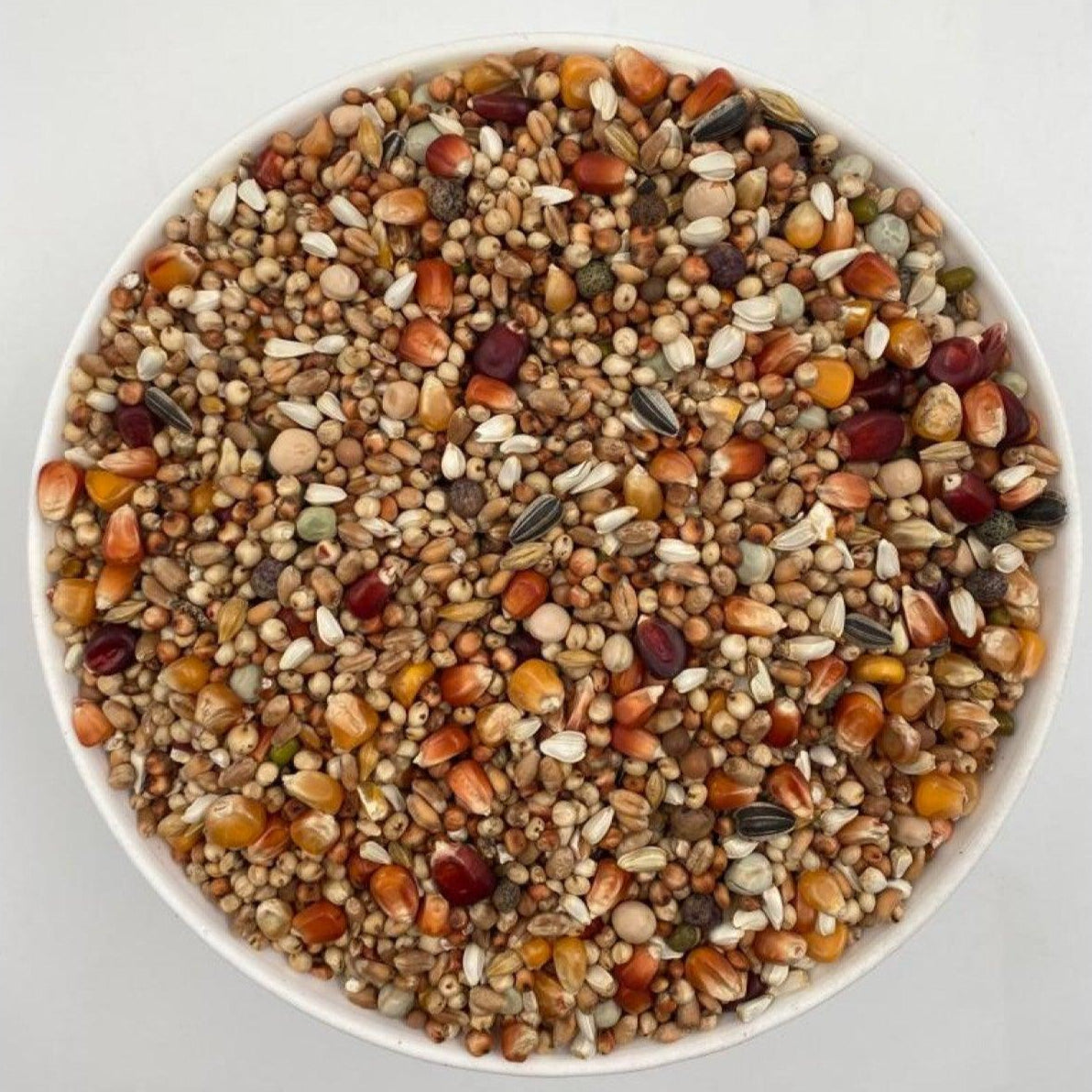 White bowl filled with a colorful mix of bird seeds and grains including corn, millet, and sunflower seeds