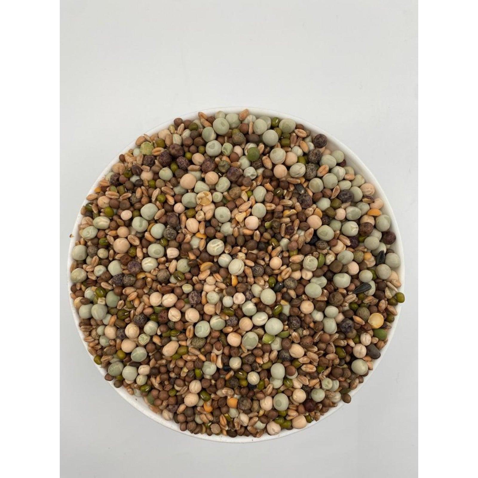 Top view of a white bowl filled with a colorful mix of various dried protein-rich seeds and legumes