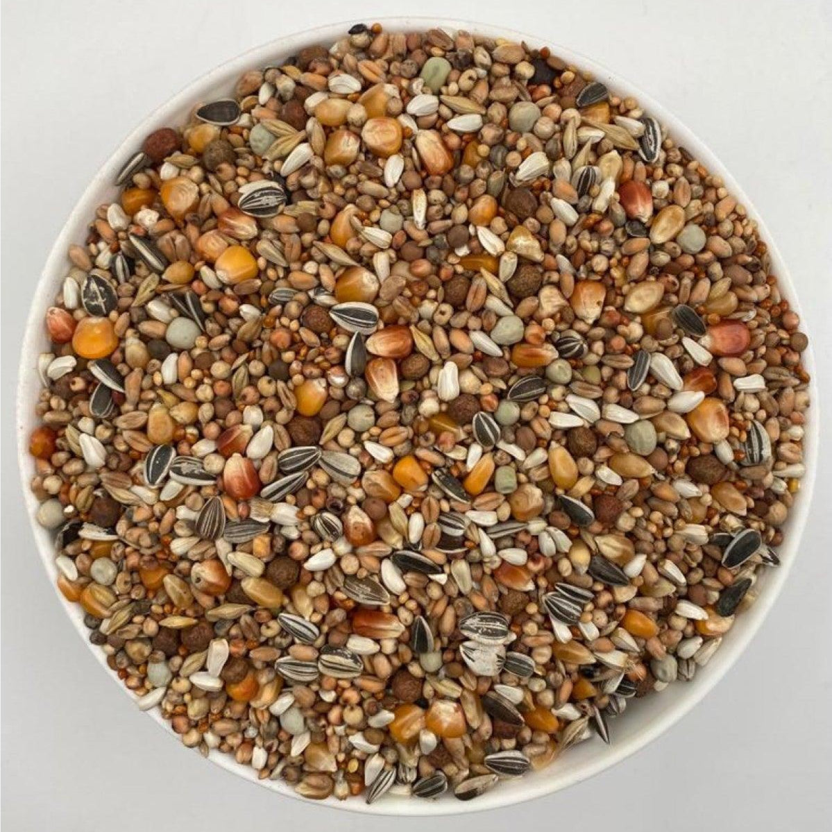 Close-up of a white bowl filled with mixed bird seeds including sunflower seeds, millet, and corn kernels