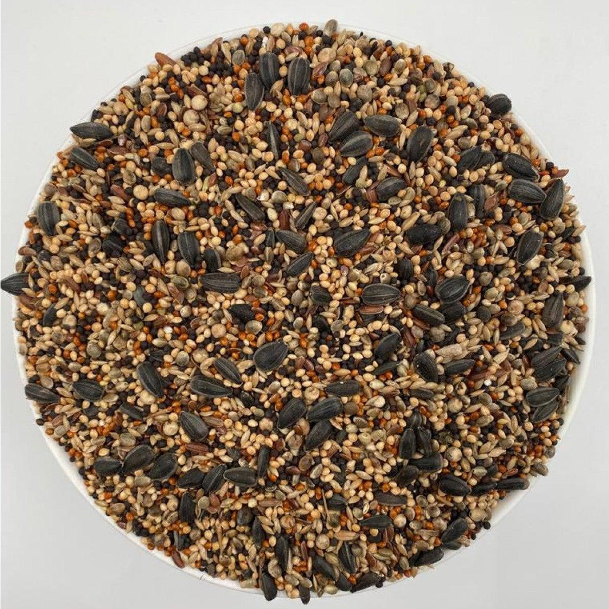 Close-up of a white bowl filled with a colorful mixed bird seed blend including sunflower seeds and millets