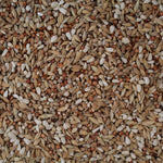 Close-up of mixed bird seed blend with various brown, tan, and white grains and seeds