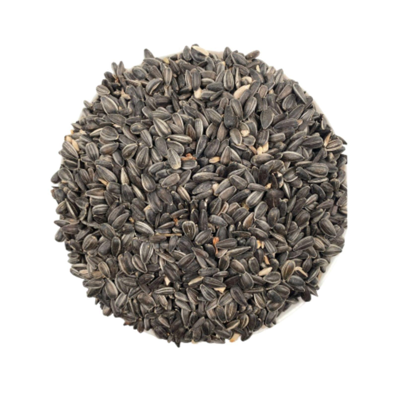 Close-up of a round pile of black sunflower seeds on a white background