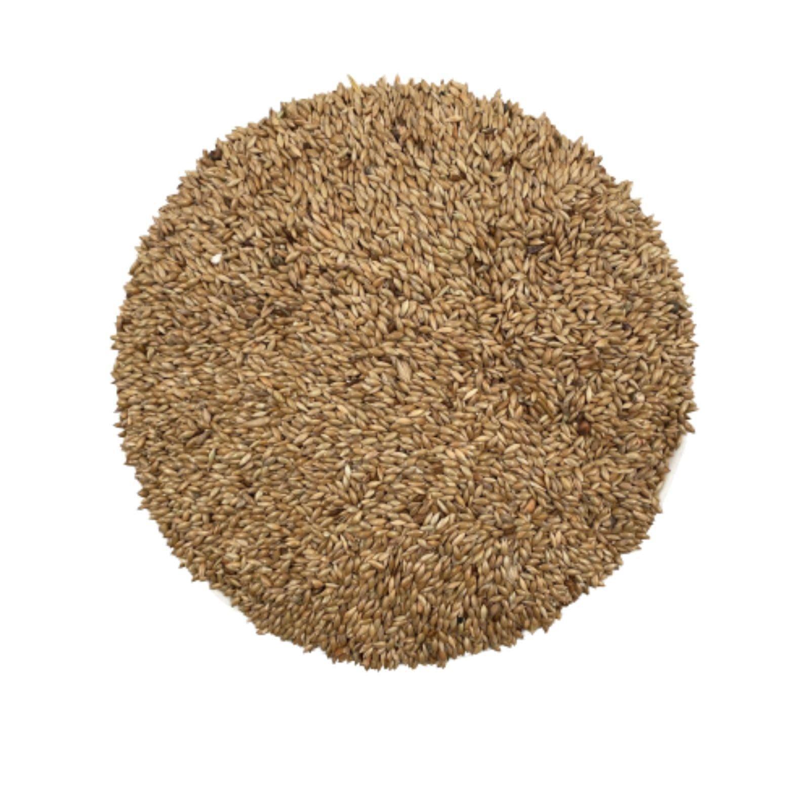 Close-up of a round pile of brown canary grass seeds on a white background