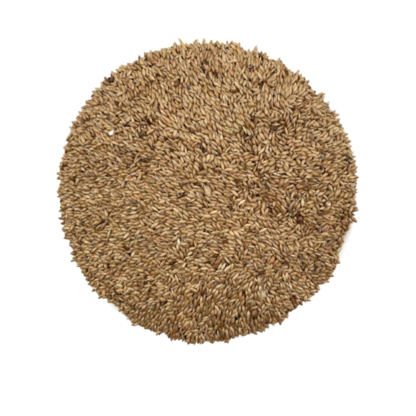 Seminte de iarba canarului 1 kg - DalisPet