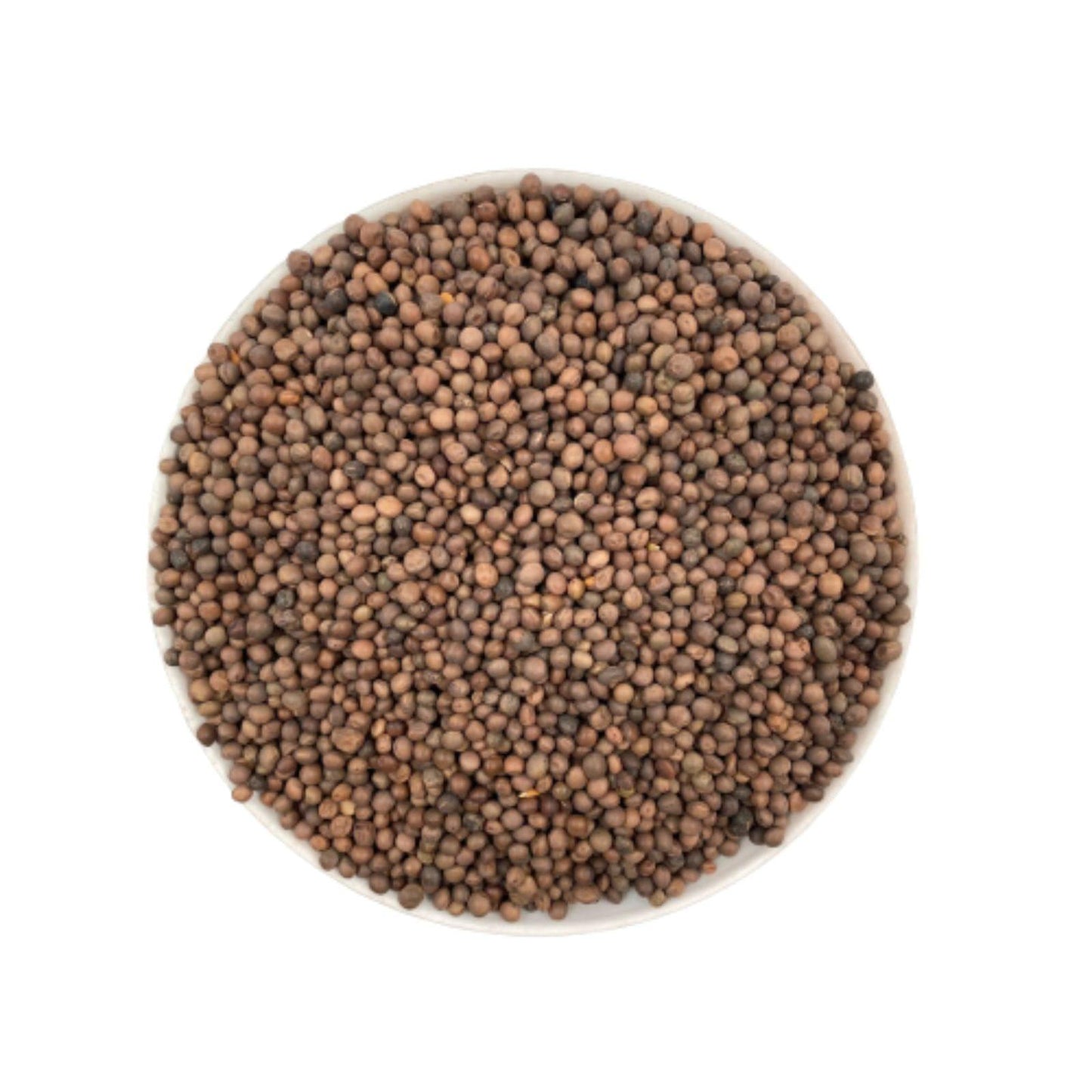 Seminte de mazariche 1 kg - DalisPet