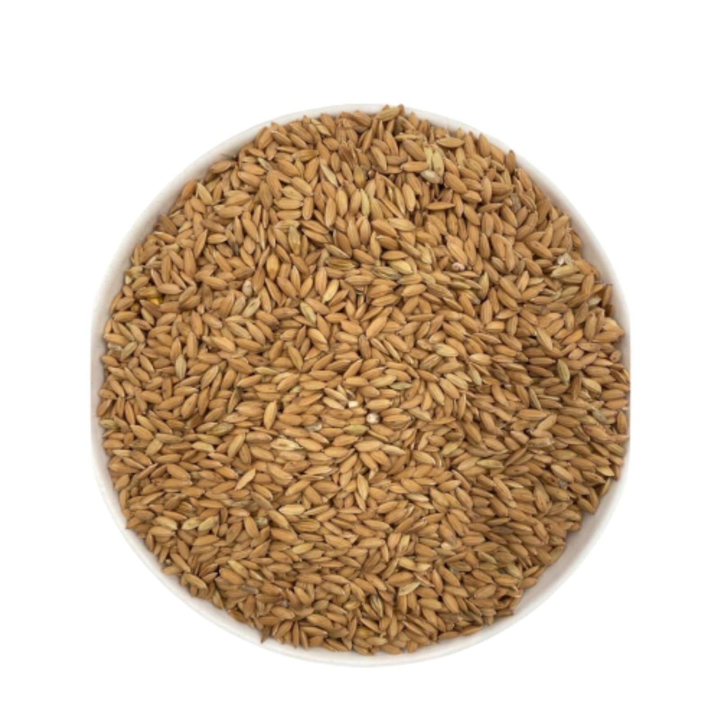 Seminte de orez nedecorticat 1 kg - DalisPet