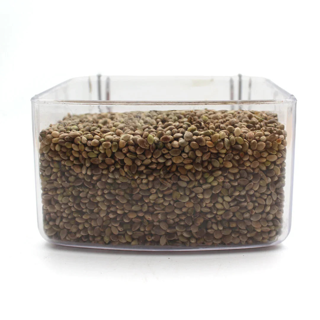 Clear plastic container filled with brown hemp seeds on white background