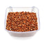 Clear plastic container filled with reddish-brown sorghum grains on white background