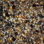 Close-up of mixed bird seed blend with corn, sunflower seeds, peas, and various grains